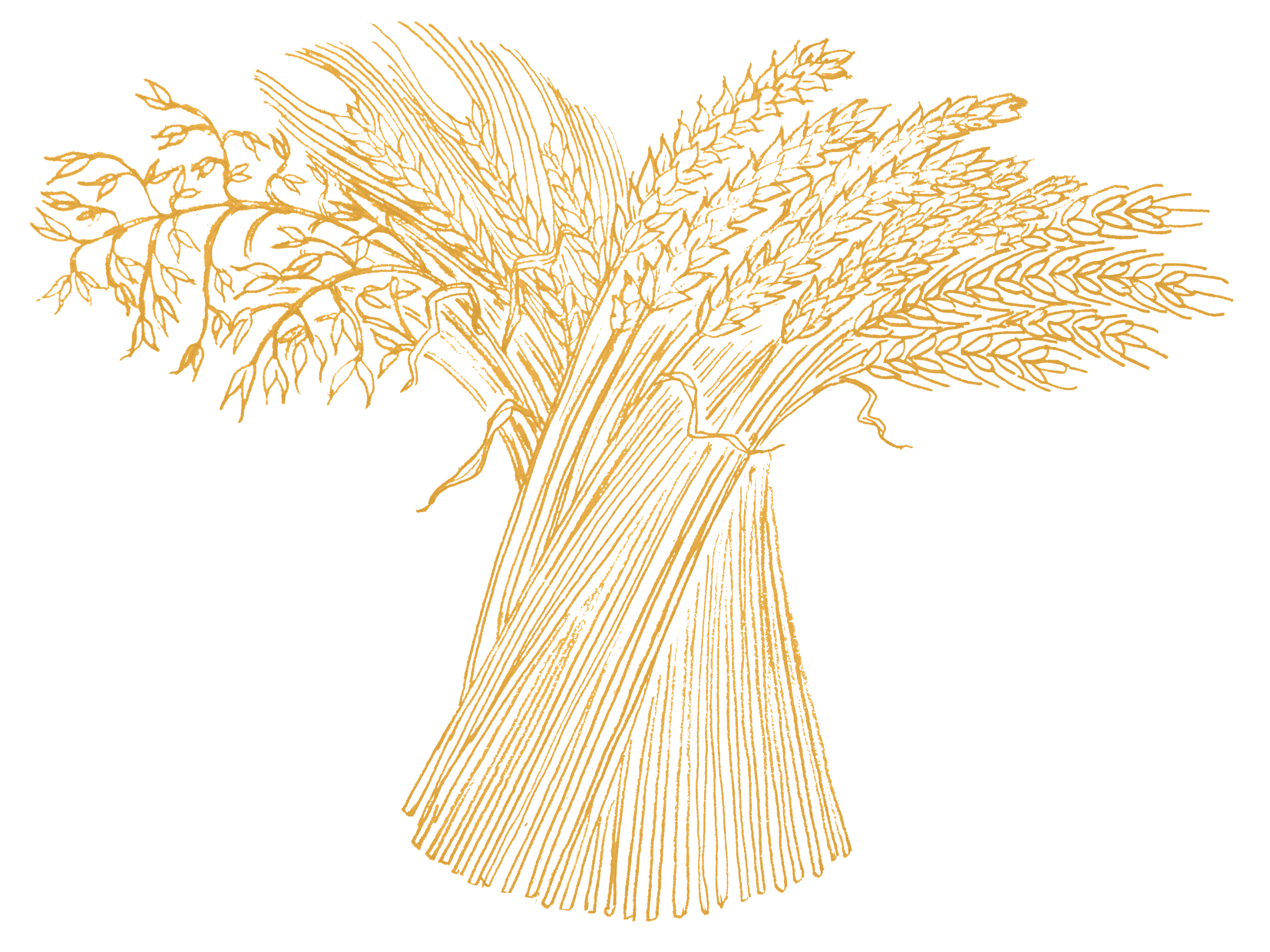 Tecknad kärve, omgjord till vectorgrafik